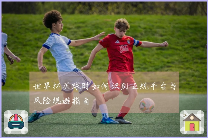 世界杯买球时如何识别正规平台与风险规避指南
