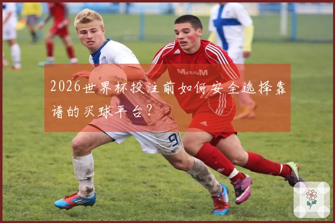 2026世界杯投注前如何安全选择靠谱的买球平台？