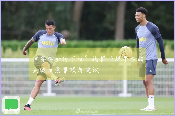 世界杯如何下注？选择正规平台的关键注意事项与建议