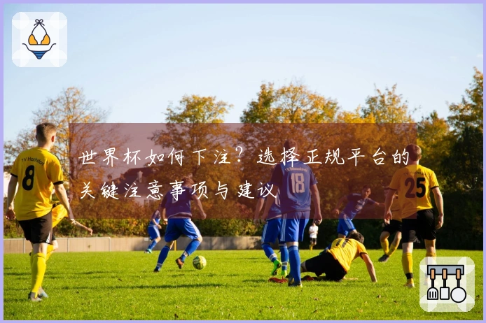 世界杯如何下注？选择正规平台的关键注意事项与建议